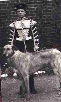 Brian Boru the 1st Mascot